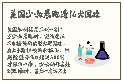c了班长嗷嗷叫一节课文视频